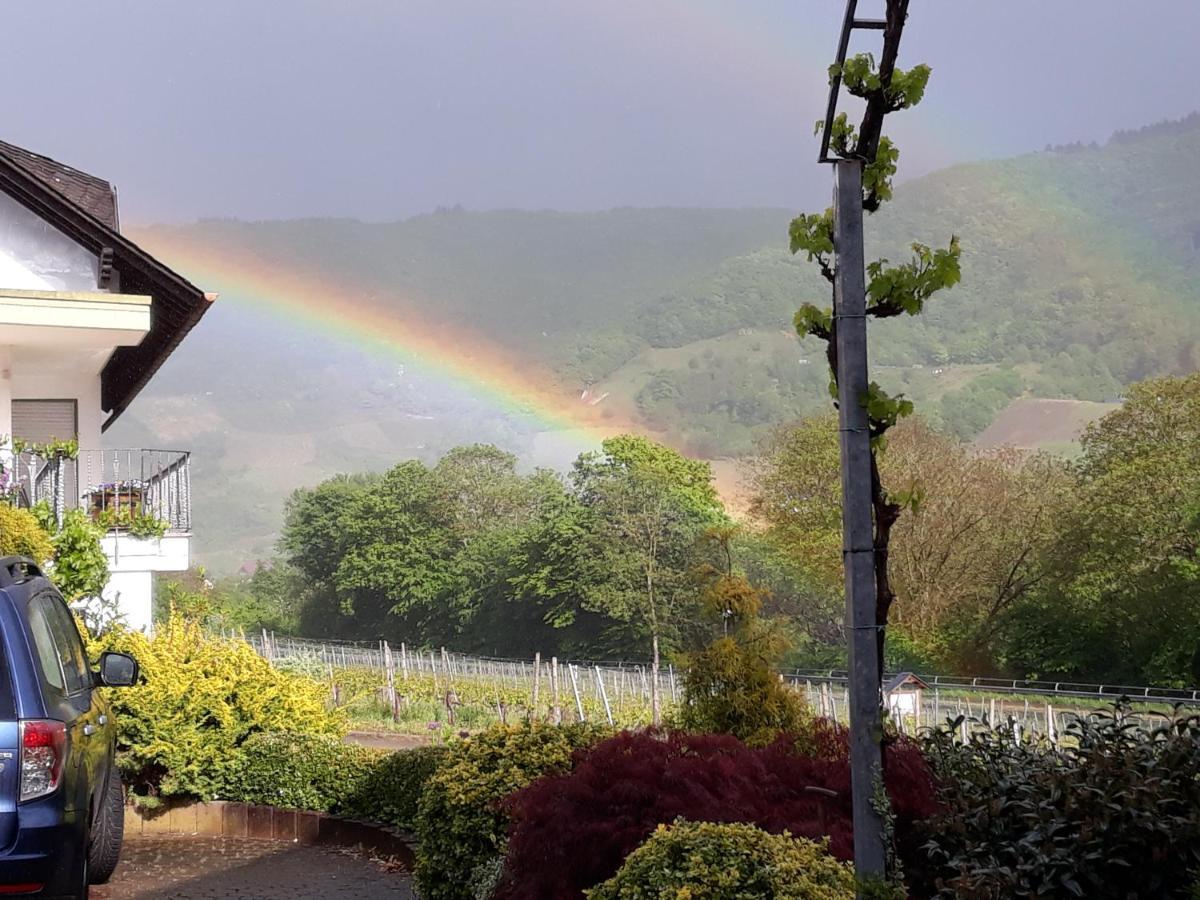 Ferienweingut-Liebfried Hotel Nehren  Ngoại thất bức ảnh