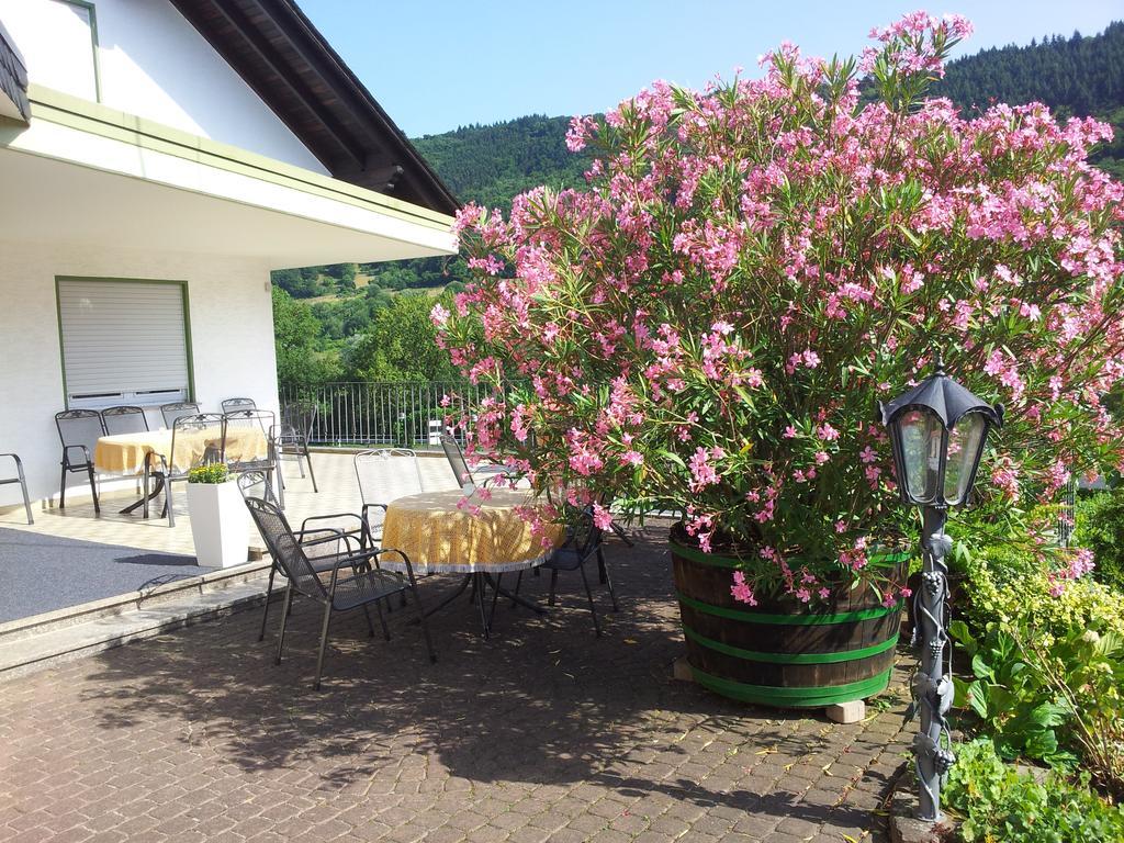 Ferienweingut-Liebfried Hotel Nehren  Ngoại thất bức ảnh